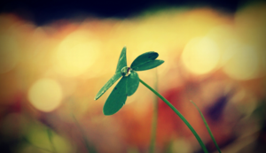 火箭队布鲁诺连场出战勤训练