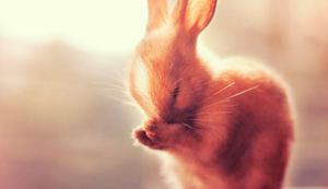 火箭队布鲁诺连场出战勤训练