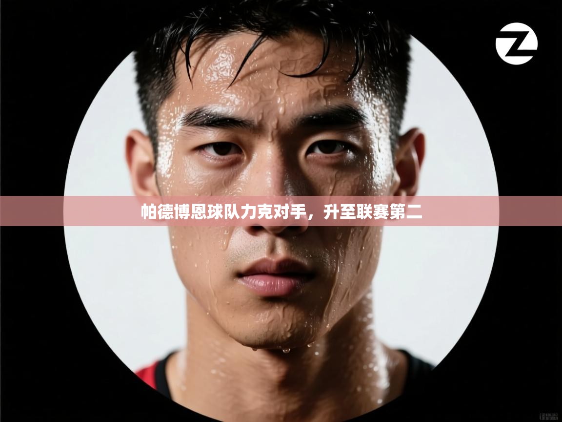 帕德博恩球队力克对手,升至联赛第二 帕德博恩球队力克对手,升至联赛第二